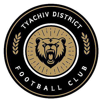 Tyachiv District